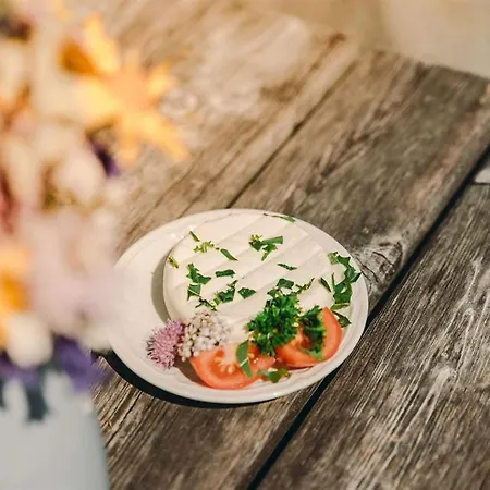 Çiftlik konaklama Alexanderhutte